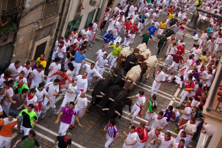 Bull run: Six injured on day six