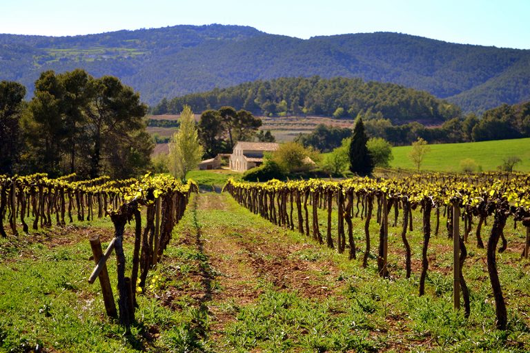 Spanish heatwave threatens international exports