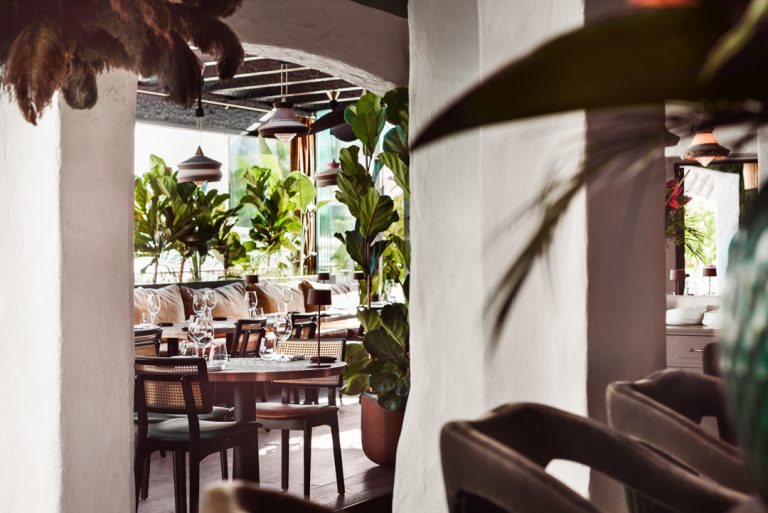 The Decadence of Monkey Club Marbella