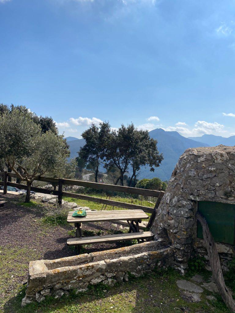 Food Review: Venta del Collao – Where Tradition Never Falters