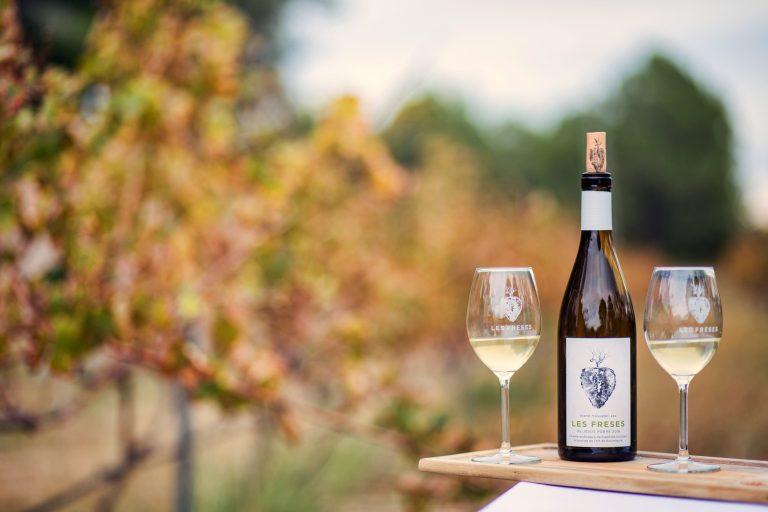 A Wine Tasting Tour Through the Flavors of Alicante awaits you this 2025