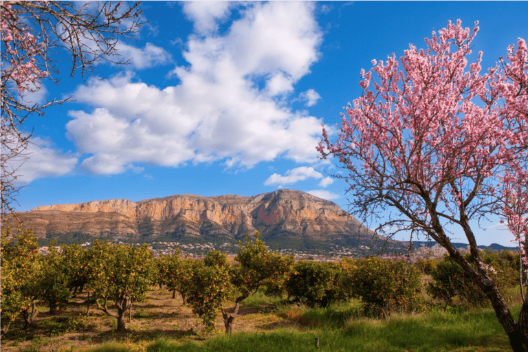 Springtime in Jávea: Scenic Routes, Gourmet Delights, and Exquisite Wines from El Celler de La Fontana